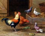埃德加亨特 - Chickens Pigeons And A Dove